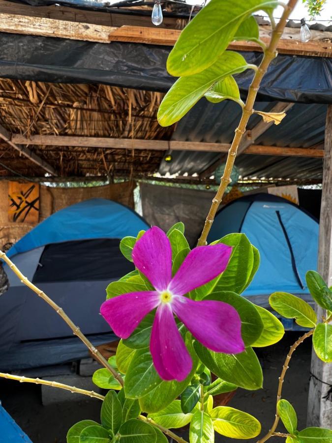 Casa De Los Santos Camping Y Eco Cabanas Holbox Eksteriør billede